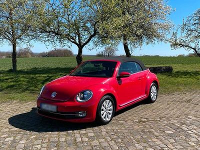 Gebraucht VW Beetle 2014 Rot Kleinwagen