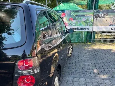 Gebraucht VW Touran Freestyle 140 PS (102 kW) 2010 Schwarz Van / Kleinbus