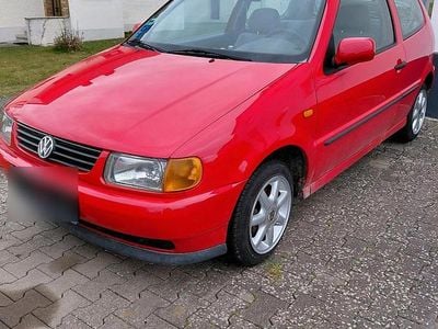 Usata VW Polo 65 CV (47 kW) 1996 Rosso Utilitaria