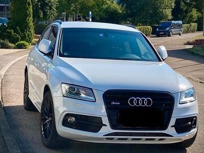 Usata Audi SQ5 Comfort 313 CV (230 kW) 2015 Bianco SUV