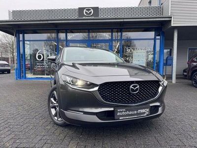 Gebraucht Mazda CX-30 Selection 179 PS (131 kW) 2020 Grau SUV