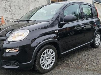 Gebraucht Fiat Panda 71 PS (52 kW) 2024 Schwarz Kleinwagen