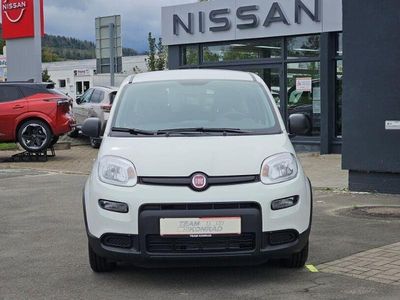Gebraucht Fiat Panda 69 PS (50 kW) 2024 Gelato weiß Kleinwagen