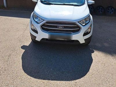 Gebraucht Ford Ecosport Trend 101 PS (74 kW) 2021 Weiß SUV