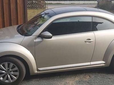 VW Beetle