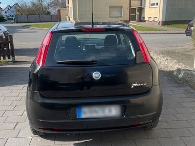 gebraucht Fiat Punto für Anfänger