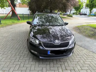 Brugt Skoda Fabia