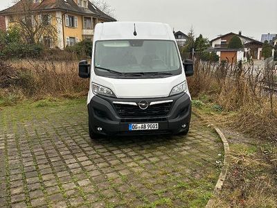 Weiß Gebraucht 2024 Opel Movano | 18.900 €