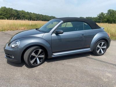 VW Beetle