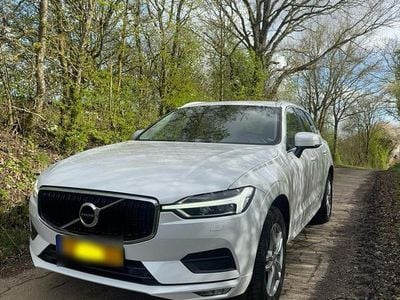 Gebraucht Volvo XC60 Momentum 190 PS (139 kW) 2020 Weiß SUV