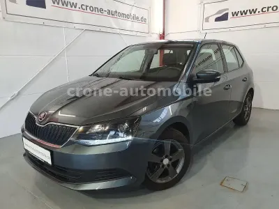 Brugt Skoda Fabia