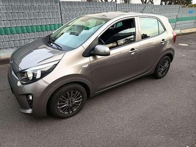 Usata Kia Picanto Edition 7 67 CV (49 kW) 2019 Grigio Utilitaria