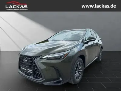 Gebraucht Lexus NX350h Executive Line 190 PS (139 kW) 2026 Terrane khaki SUV