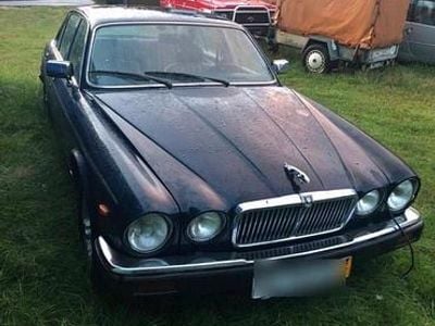 Gebraucht Jaguar XJ6 1986 Blau Limousine