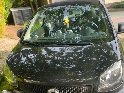 Gebraucht Smart ForTwo Coupé 60 PS (44 kW) 2018 Schwarz Coupé