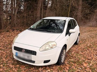 Weiß Gebraucht 2008 Fiat Punto Kleinwagen | 1.399 €