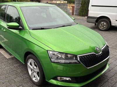 Usata Skoda Fabia Cool Plus 95 CV (69 kW) 2019 Verde Berlina