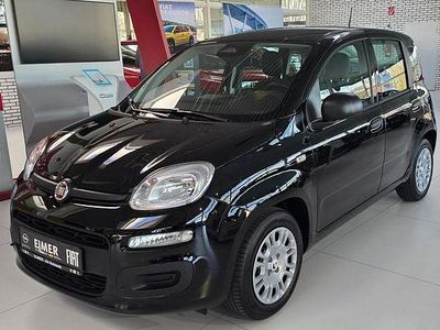 Neu Fiat Panda Icon 65 PS (47 kW) 2026 Schwarz Limousine