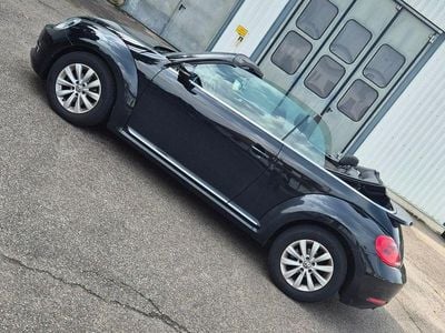 VW Beetle