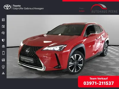 Gebraucht Lexus UX 250h 184 PS (135 kW) 2024 Rot SUV