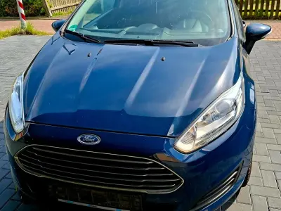 Brugt Ford Fiesta