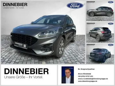 Gebraucht Ford Kuga ST-Line X 225 PS (165 kW) 2020 Magnetic grau met SUV
