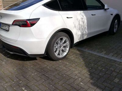 gebraucht Tesla Model Y Model YRWD