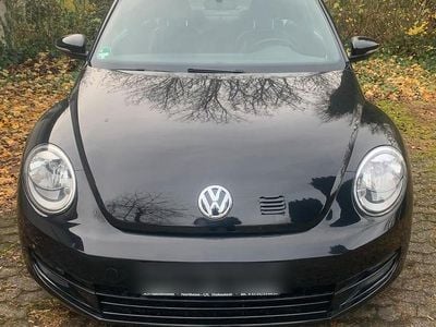 VW Beetle