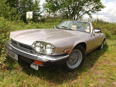 Gebraucht Jaguar XJS 264 PS (194 kW) 1989 Braun Cabrio