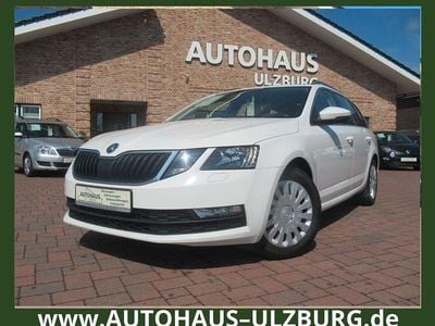 Gebraucht Skoda Octavia G-TEC Ambition 131 PS (96 kW) 2019 Weiß Kombi