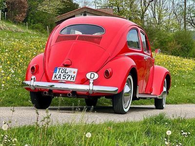 gebraucht VW Käfer Export Ovali 1957