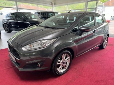 gebraucht Ford Fiesta 1,25 60kW Titanium,Klima,SHZG,Wenig Km!