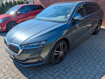 Usata Skoda Octavia First Edition 150 CV (110 kW) 2020 Grigio Station wagon