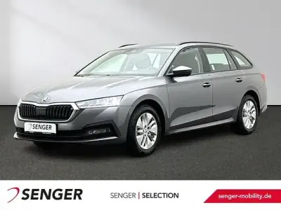 Brugt Skoda Octavia Ambition 116 HK (85 kW) 2023 Grå Stationcar