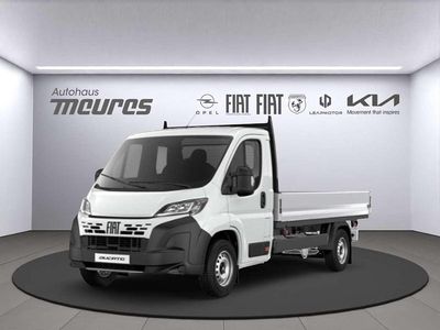 Neu Fiat Ducato 179 PS (131 kW) 2025 Weiss Van