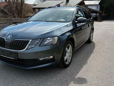 Gebraucht Skoda Octavia Ambition 150 PS (110 kW) 2017 Grau Kombi