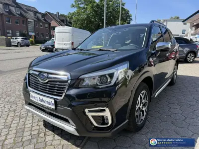 Gebraucht Subaru Forester