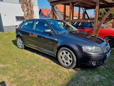 gebraucht Audi A3 8P 3-türer 8-fach Klima SHZ