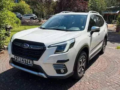 Gebraucht Subaru Forester