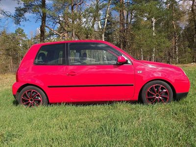 Usata VW Lupo 75 CV (55 kW) 2002 Rosso Utilitaria