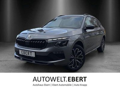 Grau Neu 2025 Skoda Kamiq Tour SUV | 27.990 € (Etwas zu teuer)