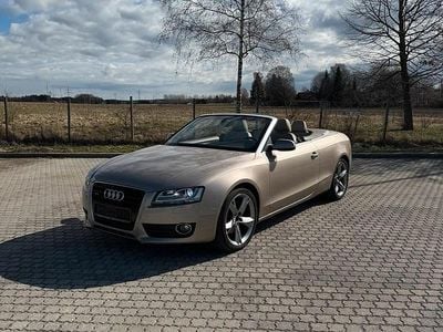 Occasion Audi A5 Cabriolet 239 ch (175 kW) 2010 Marron Cabriolet