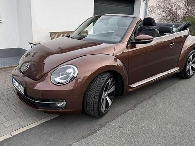 Gebraucht VW Beetle Allstar 105 PS (77 kW) 2016 Braun Kleinwagen