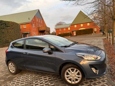 Gebraucht Ford Fiesta 86 PS (63 kW) 2019 Blau Kleinwagen
