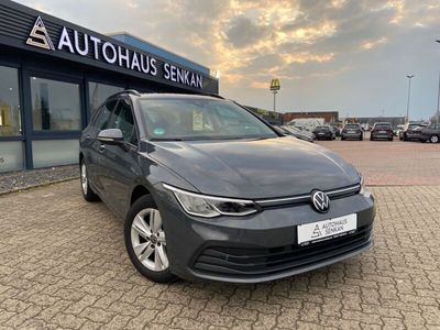 gebraucht VW Golf VIII 1.5 eTSI DSG Variant Life*NAVI*AHK*LED