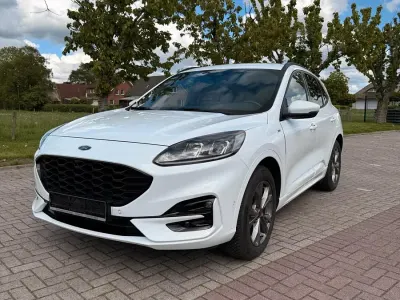 Gebraucht Ford Kuga ST-Line 190 PS (139 kW) 2020 Weiß SUV