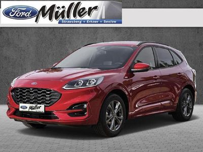 gebraucht Ford Kuga 1.5 EcoBoost ST-Line X (EURO 6d)