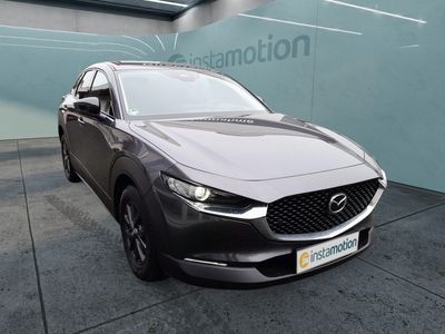 Gebraucht Mazda CX-30 Homura-Line 140 PS (102 kW) 2024 Grau SUV