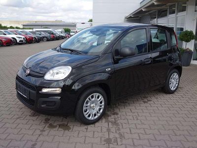 Gebraucht Fiat Panda 69 PS (50 kW) 2025 Cinema schwarz Kleinwagen