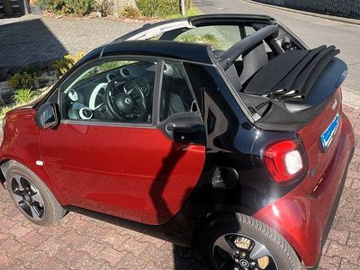 Usata Smart ForTwo Electric Drive 60 kW (82 CV) 2020 Rosso Cabrio